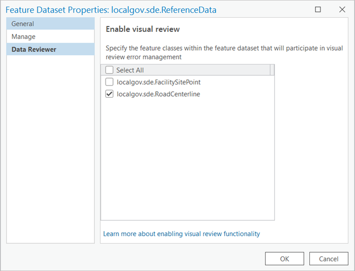 Feature Dataset Properties dialog box with the Data Reviewer tab active and Enable visual review settings Feature Dataset Properties dialog box with the Data Reviewer tab active and Enable visual review settings